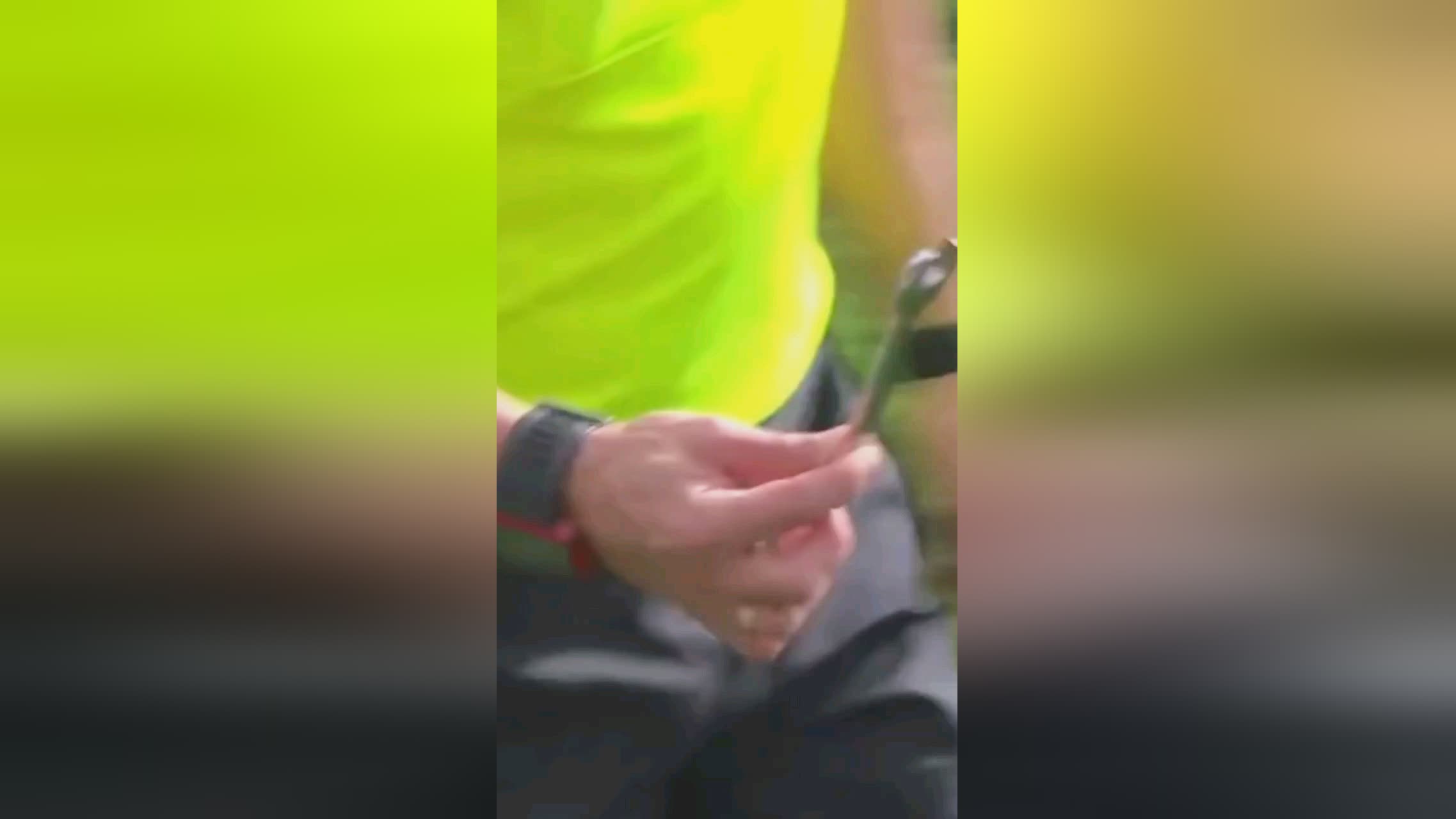 业内人士